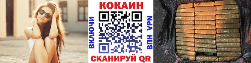 Cocaine Fish Scale  Купить закладки  Малая Вишера 